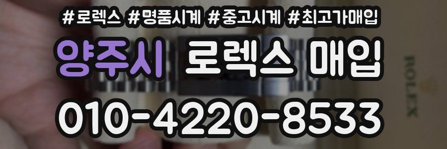 양주시 로렉스 매입