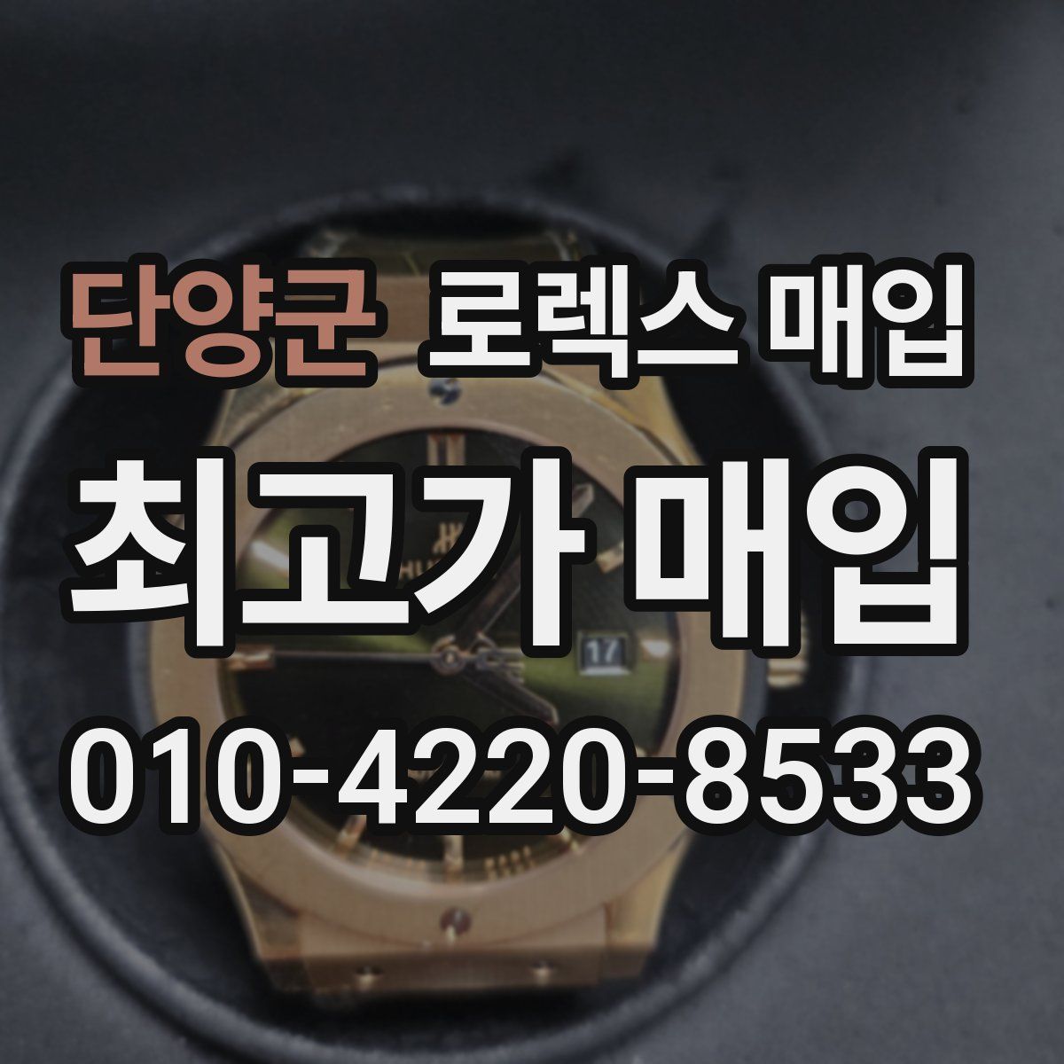 단양군 로렉스 매입