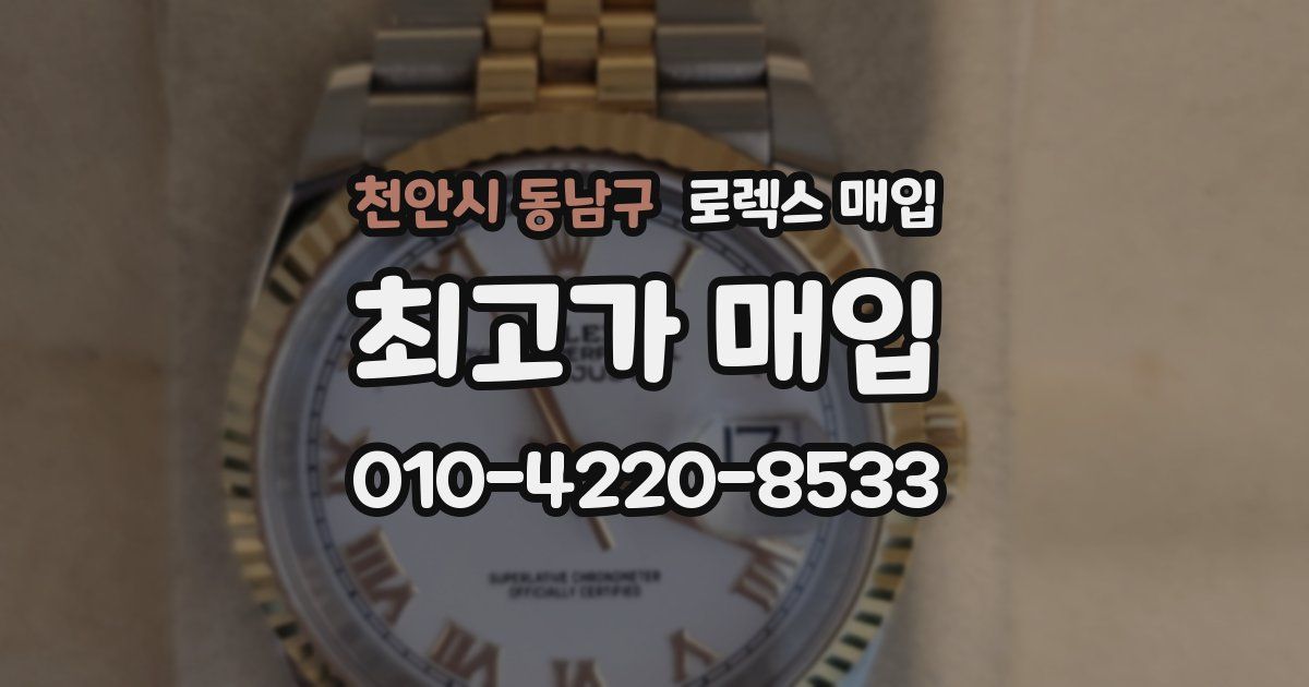 천안시 동남구 로렉스 매입