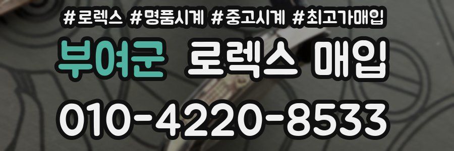 부여군 로렉스 매입