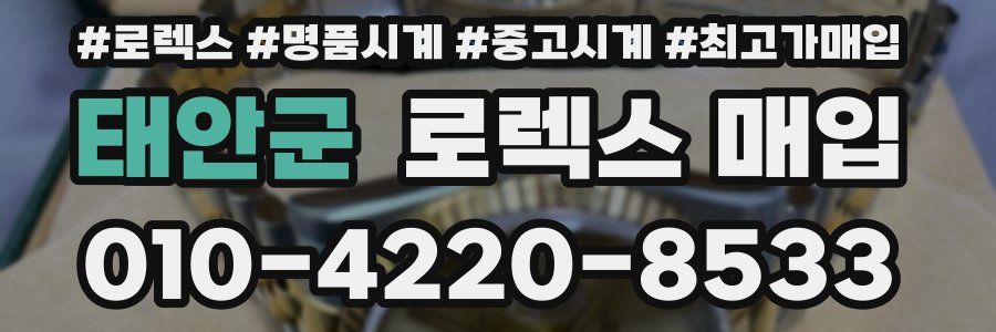 태안군 로렉스 매입