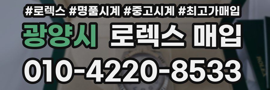 광양시 로렉스 매입