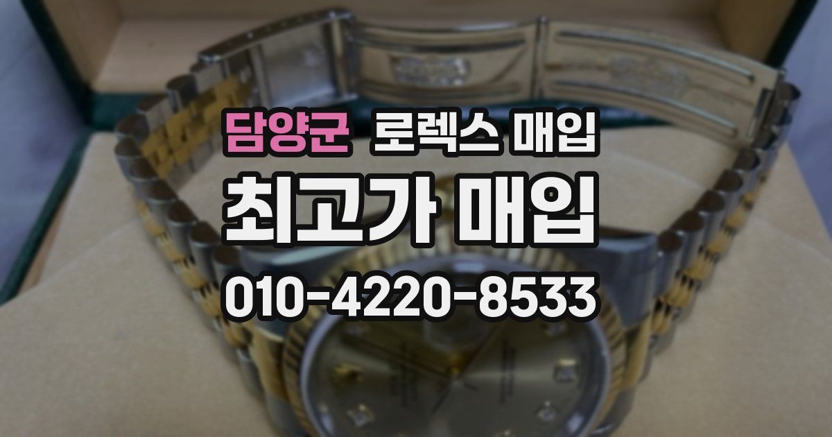 담양군 로렉스 매입