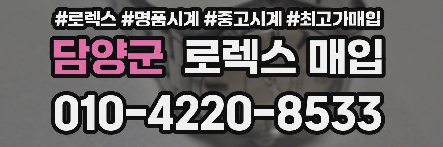 담양군 로렉스 매입