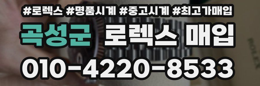 곡성군 로렉스 매입