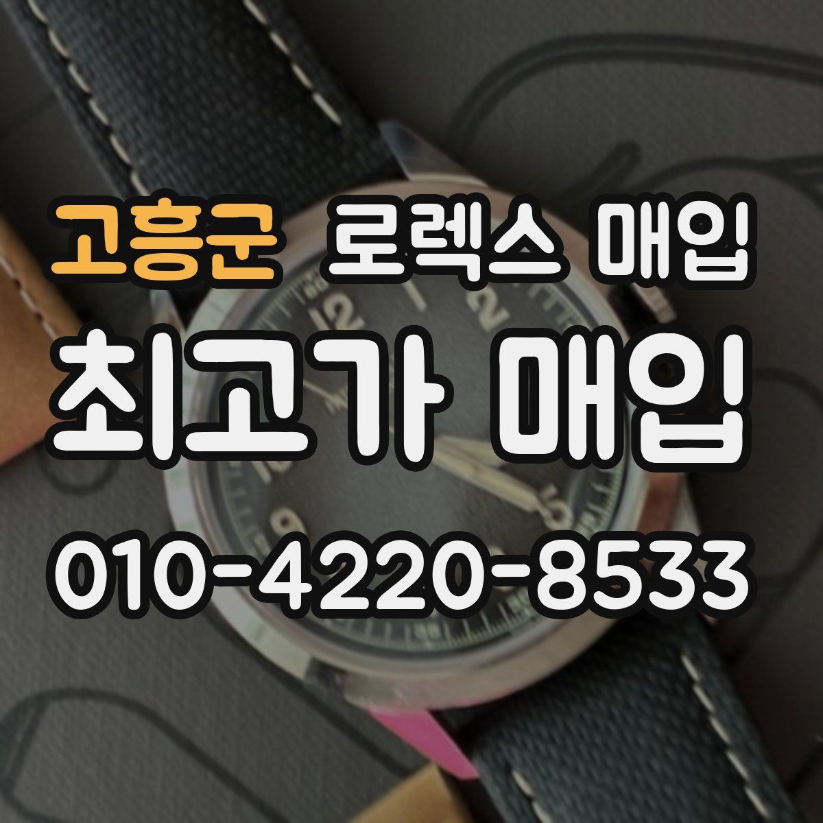 고흥군 로렉스 매입