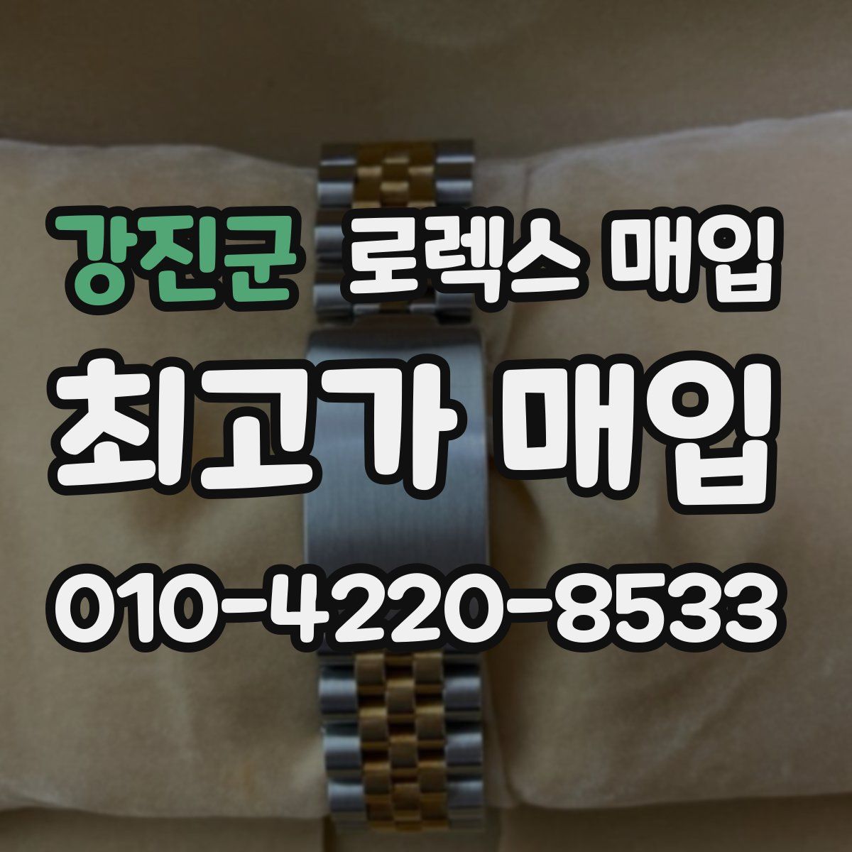 강진군 로렉스 매입