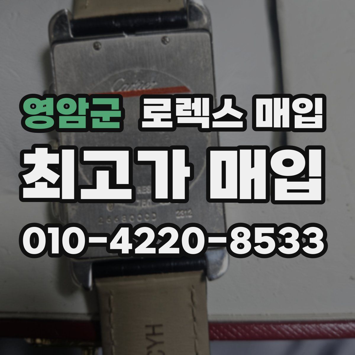 영암군 로렉스 매입