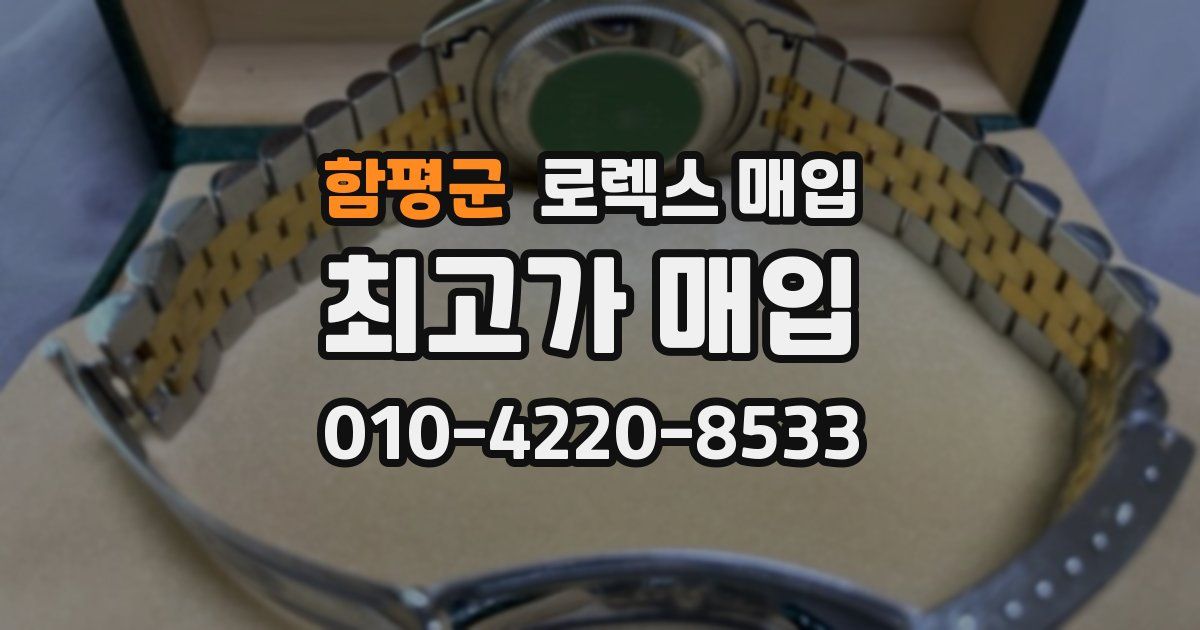 함평군 로렉스 매입