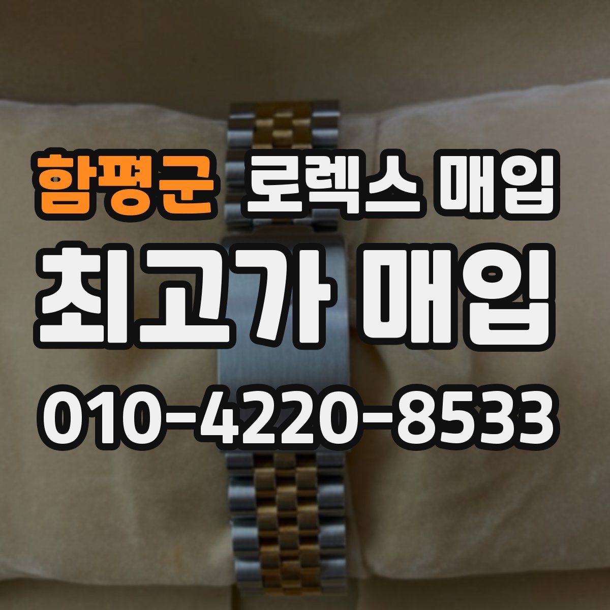 함평군 로렉스 매입