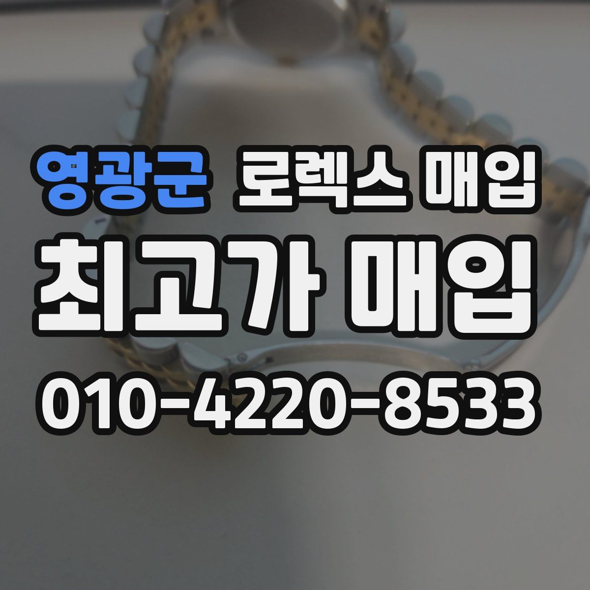 영광군 로렉스 매입