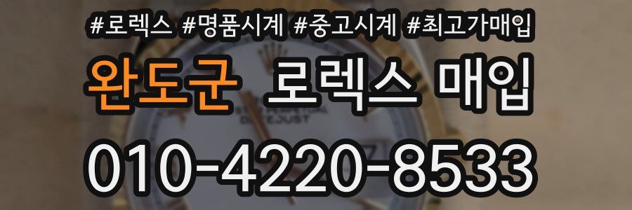 완도군 로렉스 매입