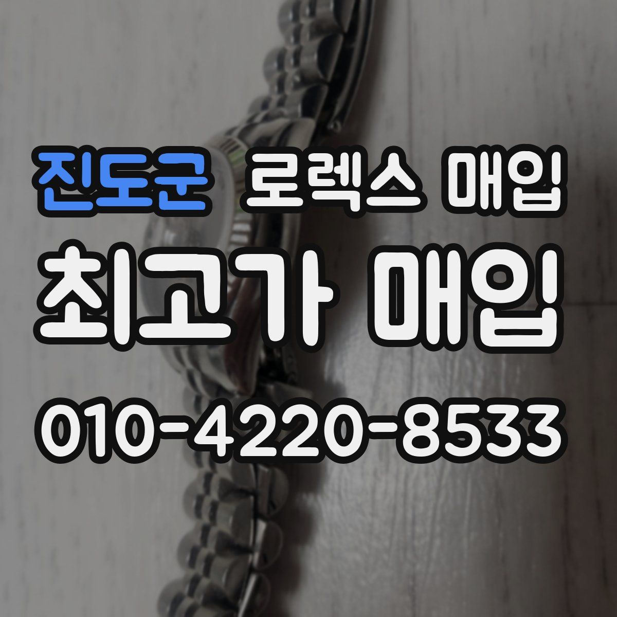 진도군 로렉스 매입