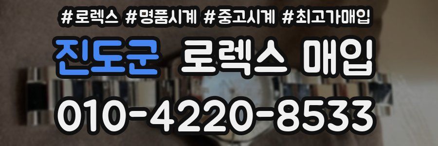 진도군 로렉스 매입