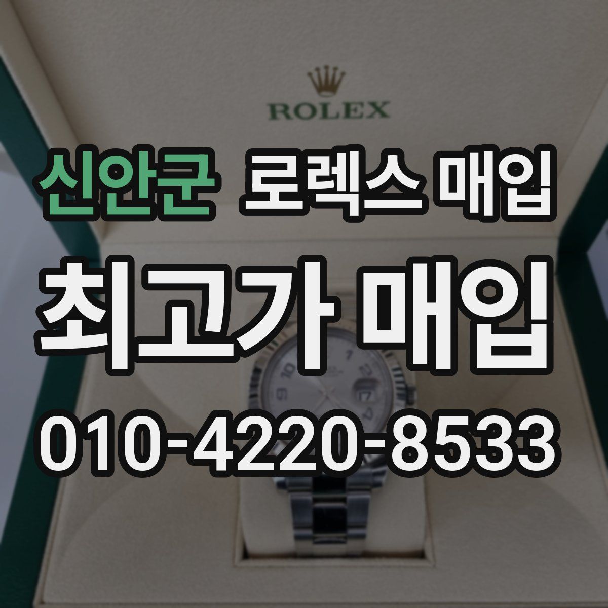 신안군 로렉스 매입