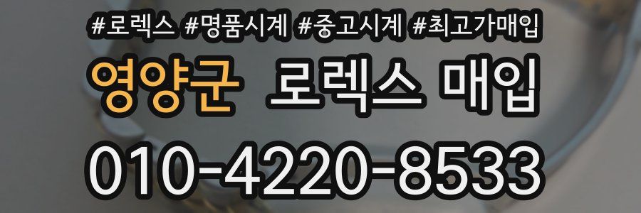 영양군 로렉스 매입
