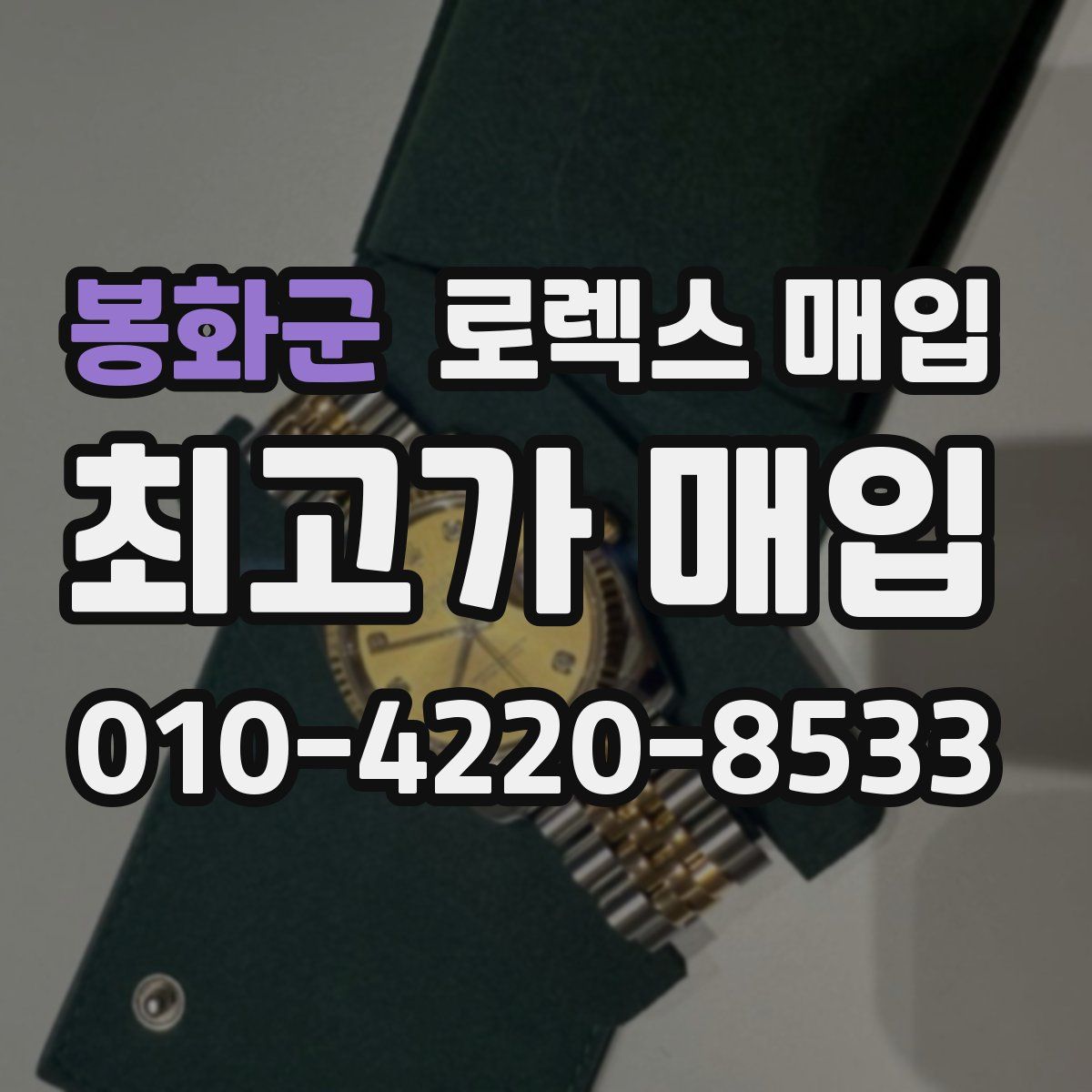 봉화군 로렉스 매입