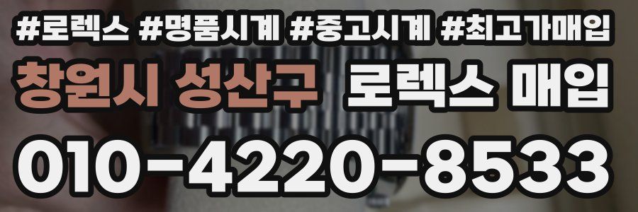 창원시 성산구 로렉스 매입