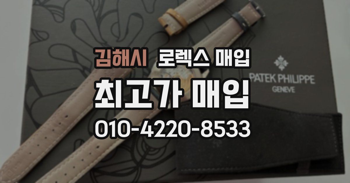 김해시 로렉스 매입