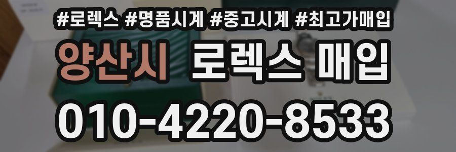 양산시 로렉스 매입