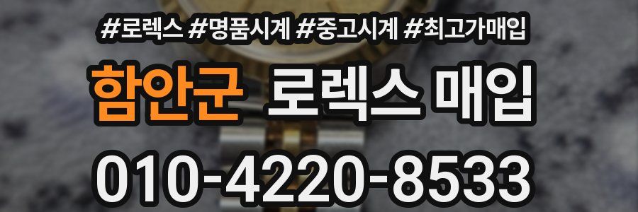 함안군 로렉스 매입
