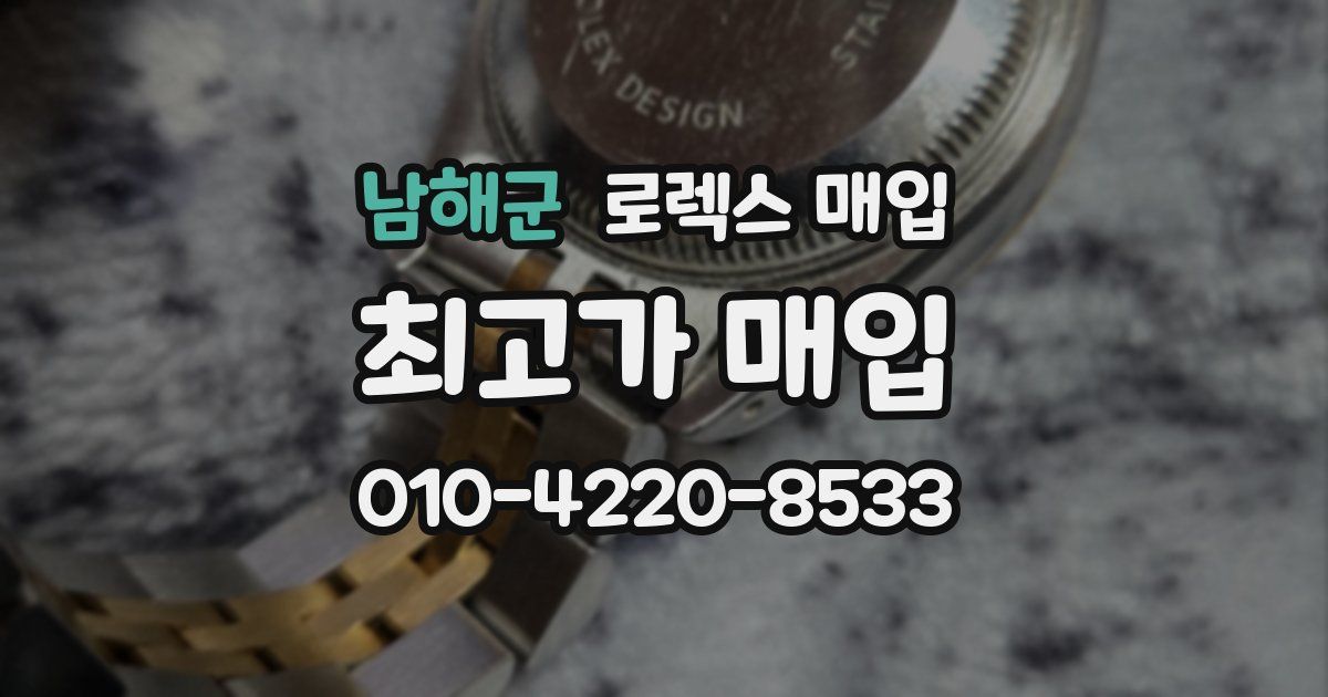 남해군 로렉스 매입