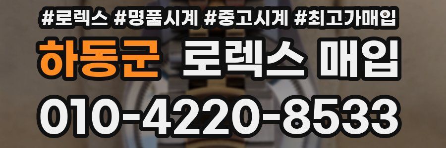 하동군 로렉스 매입