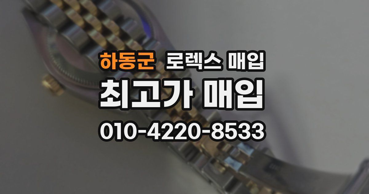 하동군 로렉스 매입