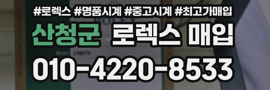 산청군 로렉스 매입