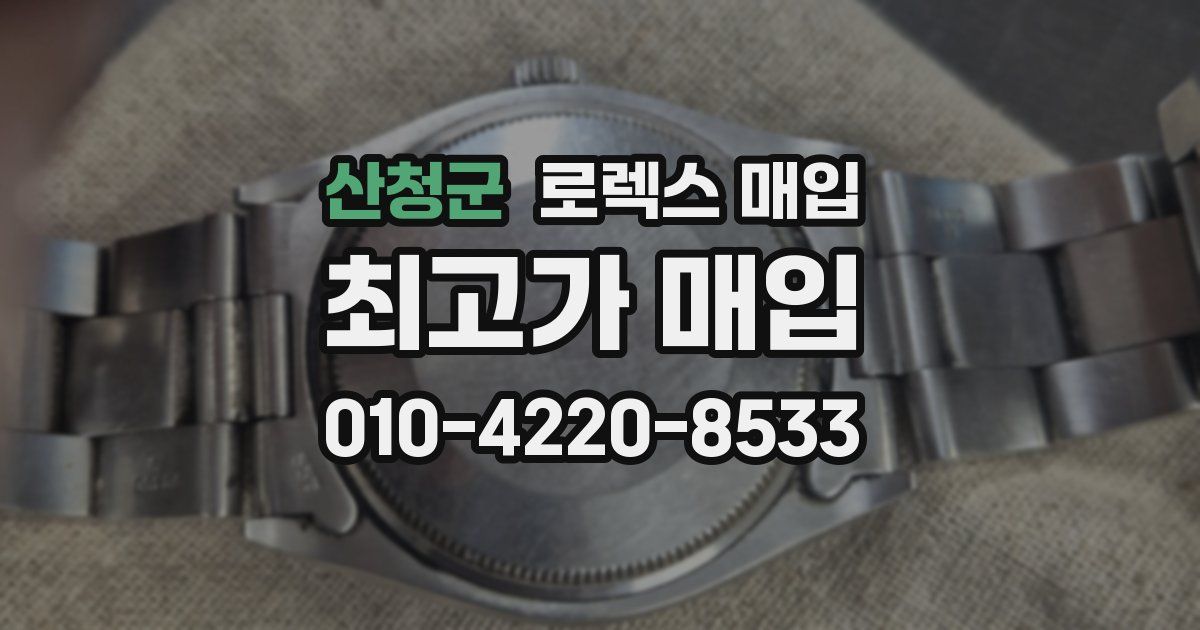 산청군 로렉스 매입