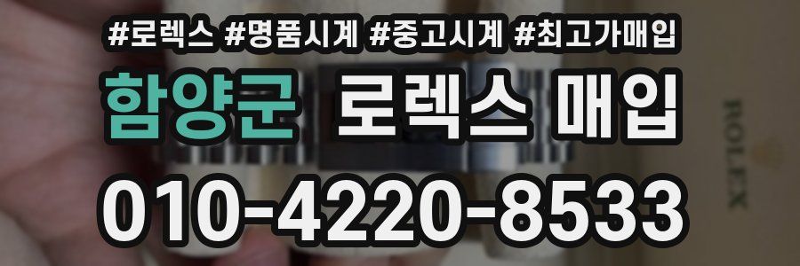 함양군 로렉스 매입