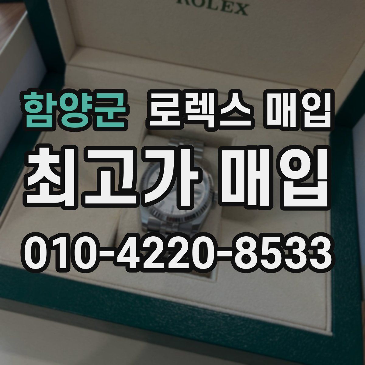 함양군 로렉스 매입