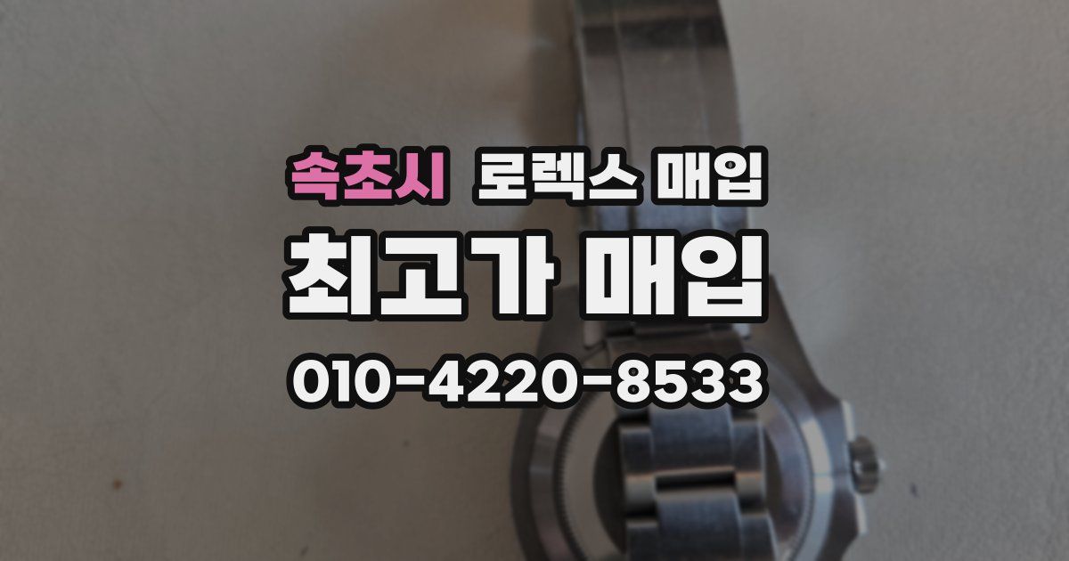 속초시 로렉스 매입