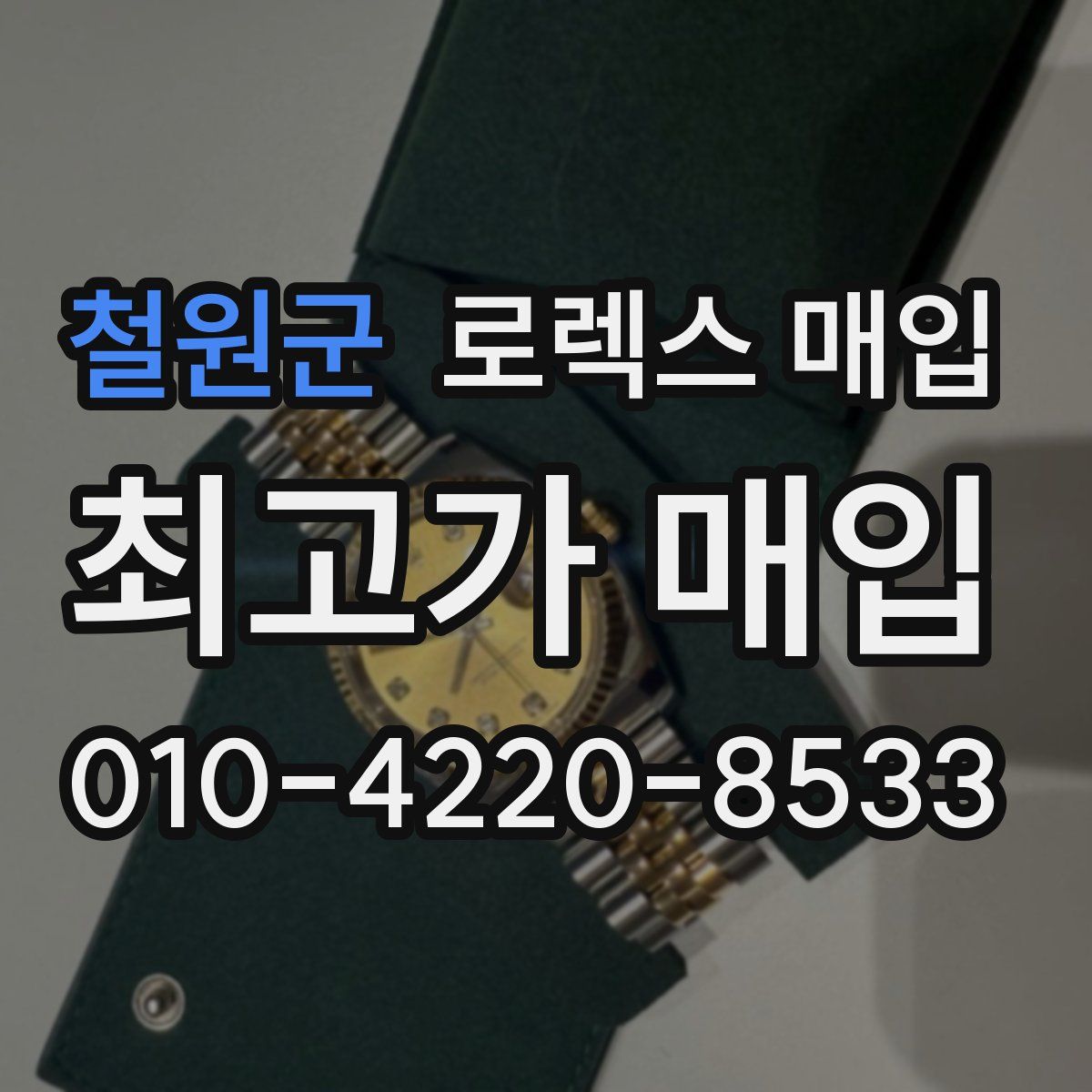철원군 로렉스 매입