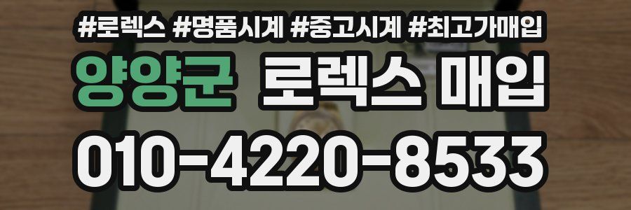 양양군 로렉스 매입