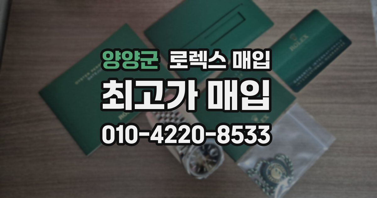 양양군 로렉스 매입