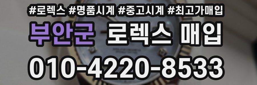 부안군 로렉스 매입