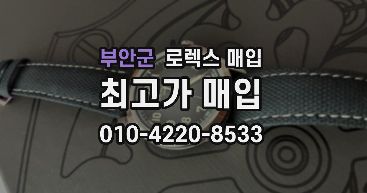 부안군 로렉스 매입