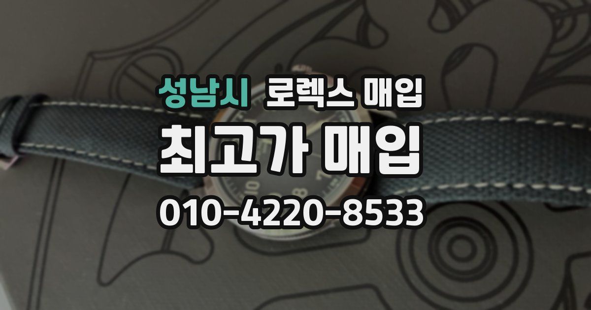 성남시 로렉스 매입