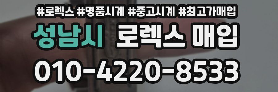 성남시 로렉스 매입