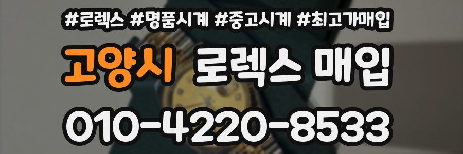 고양시 로렉스 매입