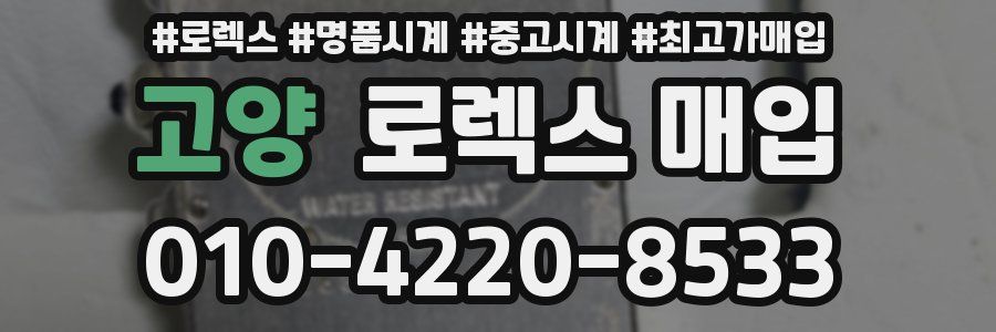 고양 로렉스 매입