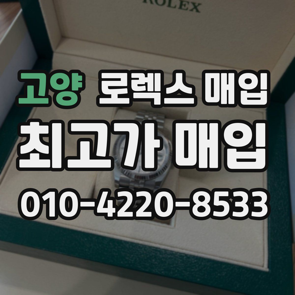 고양 로렉스 매입