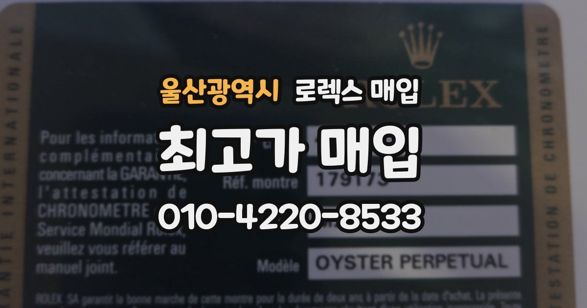 울산광역시 로렉스 매입