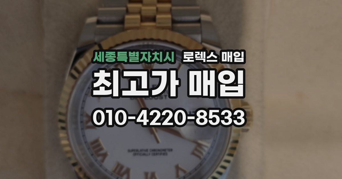 세종특별자치시 로렉스 매입
