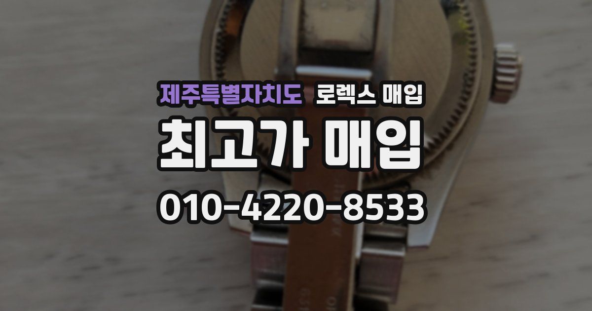제주특별자치도 로렉스 매입
