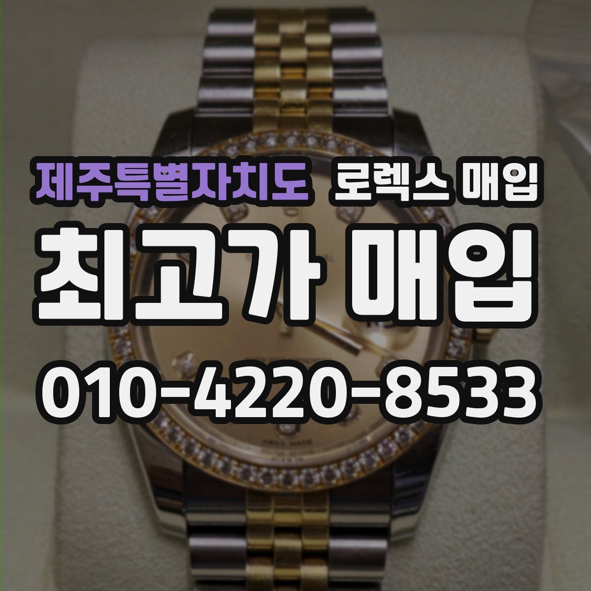 제주특별자치도 로렉스 매입