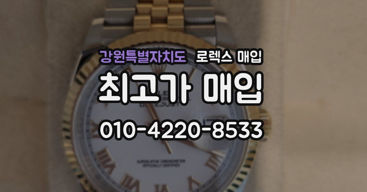 강원특별자치도 로렉스 매입