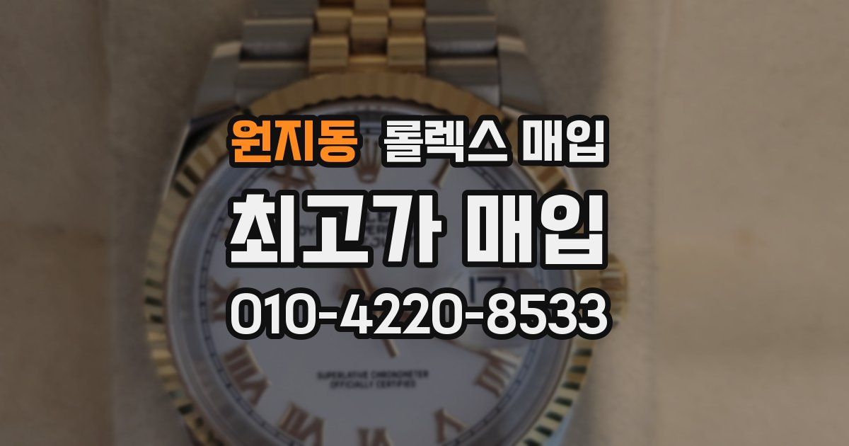 원지동 롤렉스 매입