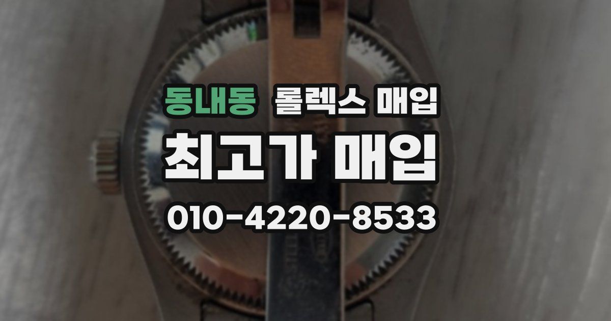 동내동 롤렉스 매입